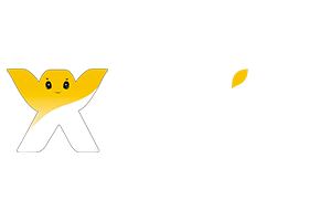 Wix